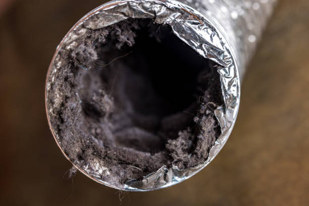 Best Best Air Duct Cleaning Company  in Sanborn, IA